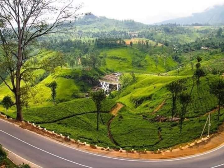 Bed and Breakfast Lily Adam'S Peak Наллатания Экстерьер фото