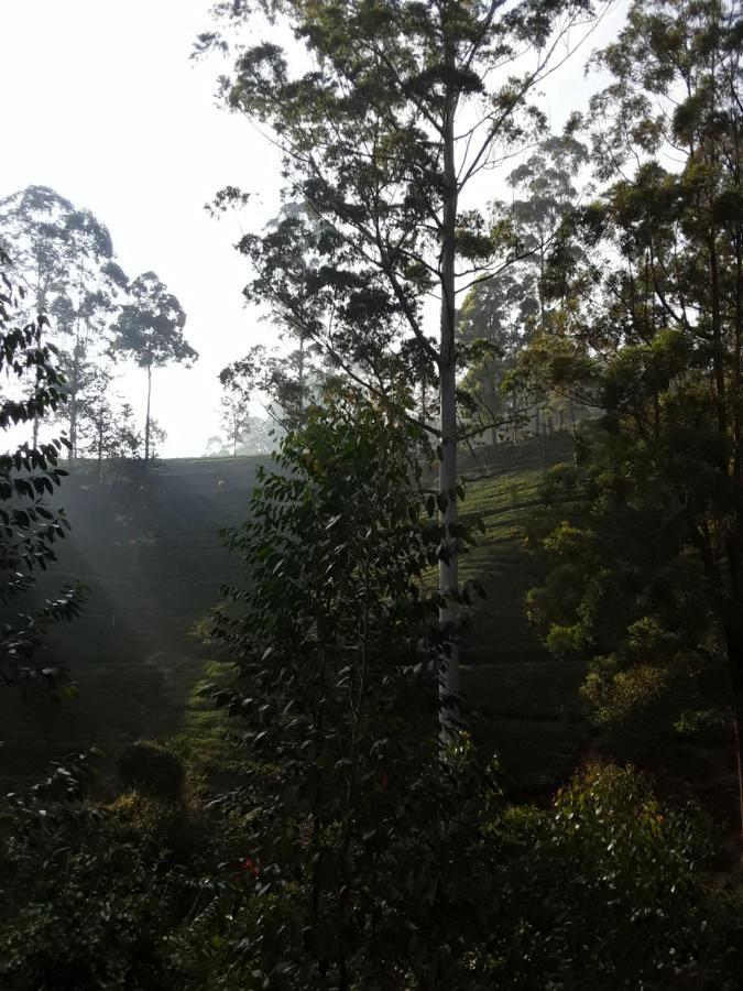 Bed and Breakfast Lily Adam'S Peak Наллатания Экстерьер фото